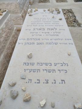 תמונת מצבה