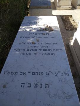 תמונת מצבה