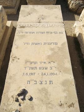 תמונת מצבה