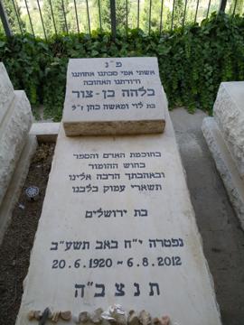 תמונת מצבה
