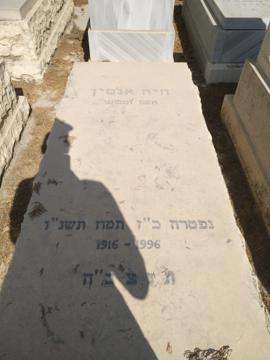 תמונת מצבה