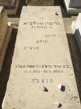 תמונת מצבה