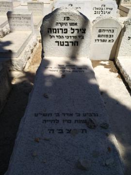 תמונת מצבה