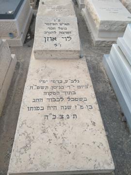 תמונת מצבה