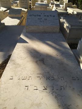 תמונת מצבה