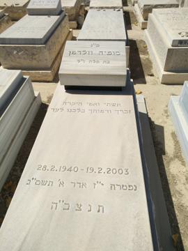 תמונת מצבה