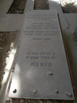 תמונת מצבה