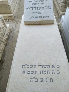 תמונת מצבה