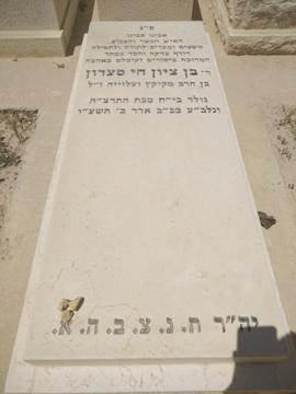 תמונת מצבה