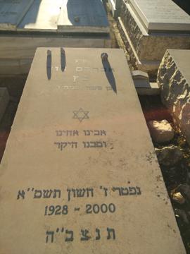 תמונת מצבה