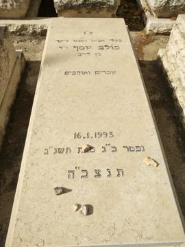 תמונת מצבה