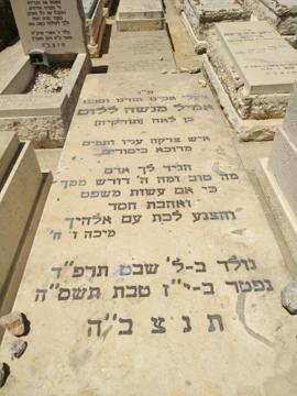 תמונת מצבה