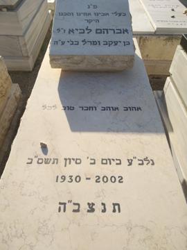 תמונת מצבה