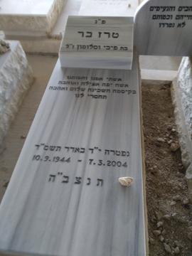 תמונת מצבה