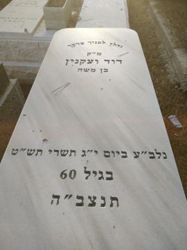 תמונת מצבה