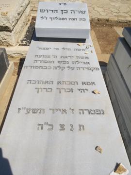 תמונת מצבה