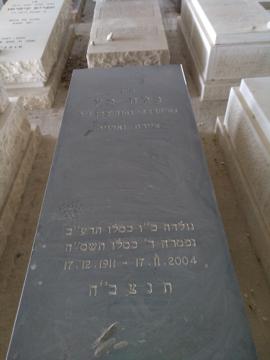 תמונת מצבה