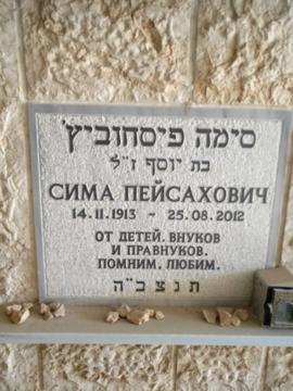 תמונת מצבה