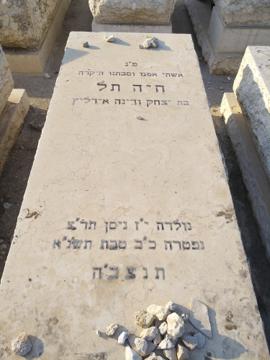 תמונת מצבה