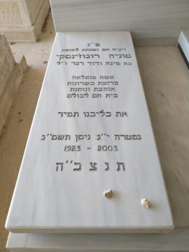 תמונת מצבה