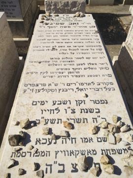 תמונת מצבה