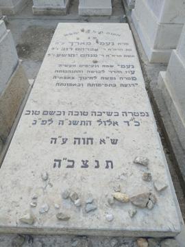 תמונת מצבה