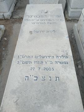 תמונת מצבה