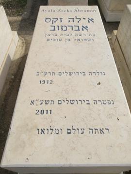 תמונת מצבה