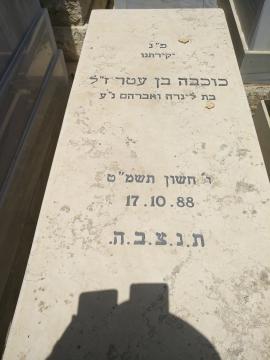 תמונת מצבה