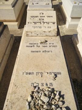 תמונת מצבה