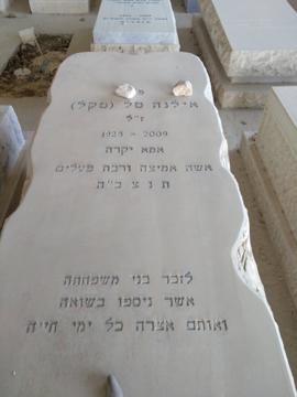 תמונת מצבה