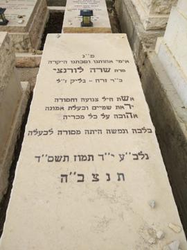 תמונת מצבה