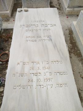 תמונת מצבה