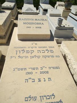 תמונת מצבה