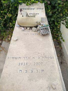 תמונת מצבה