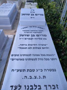 תמונת מצבה