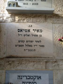 תמונת מצבה