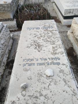 תמונת מצבה