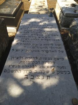 תמונת מצבה