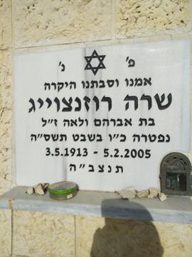 תמונת מצבה