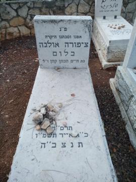 תמונת מצבה