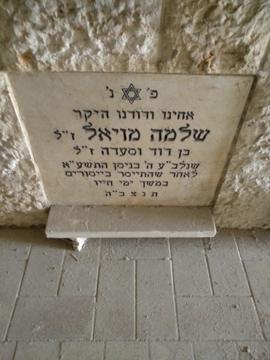 תמונת מצבה