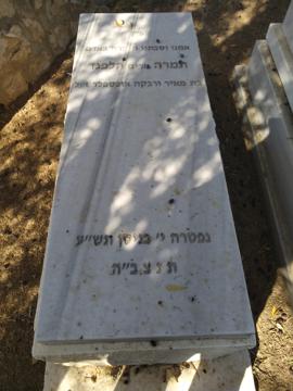 תמונת מצבה