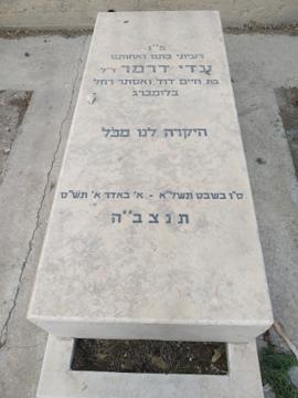 תמונת מצבה