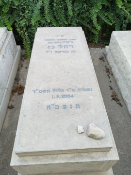 תמונת מצבה