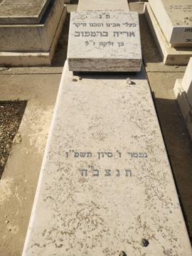 תמונת מצבה