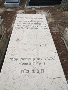 תמונת מצבה