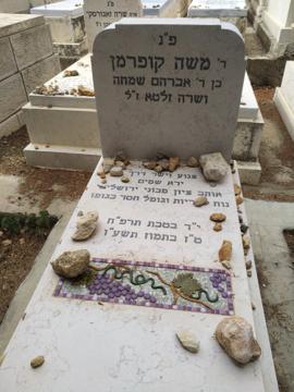תמונת מצבה