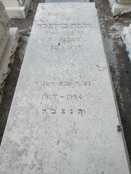 תמונת מצבה