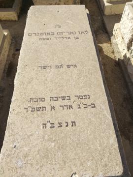 תמונת מצבה